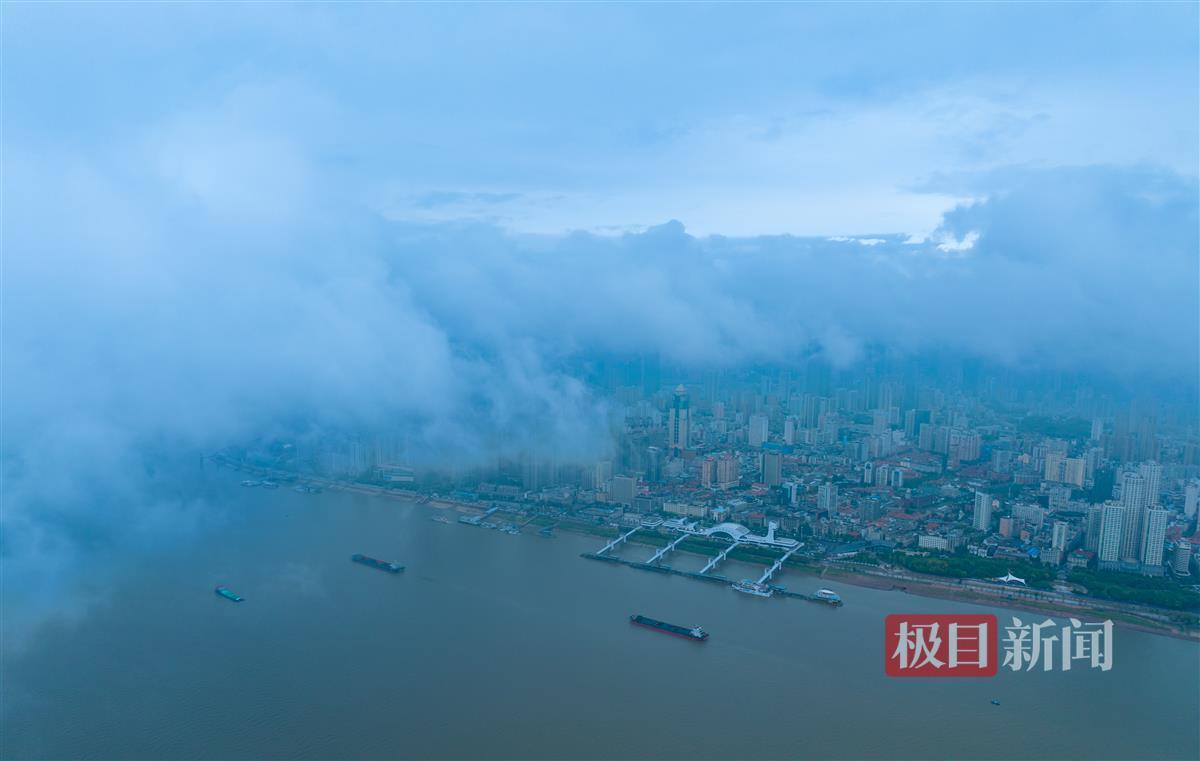 转转官网网页版登入